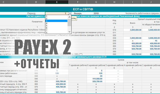 PAYEX 2- PAYROLL 2019 EXCEL + PAYROLL TAX REPORTS